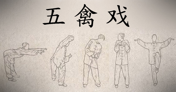 posições do Wu Qin Xi